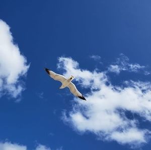 Meet your Posher, Danilo